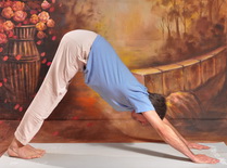 Adho Mukha Shvanasana-Lefelé Néző Kutyapóz, Fordított V